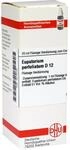 DHU-Arzneimittel GmbH & Co. KG Eupatorium Perfoliatum D 12 Dilution 20 ml