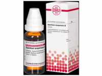 DHU-Arzneimittel GmbH & Co. KG Spartium Scoparium Urtinktur 20 ml 02123729_DBA