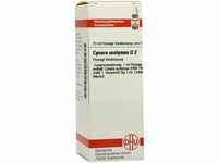 DHU-Arzneimittel GmbH & Co. KG Cynara Scolymus D 2 Dilution 20 ml 02806411_DBA