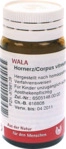 WALA Heilmittel GmbH HORNERZ/Corpus vitreum comp.Globuli 20 g 08786129_DBA