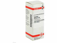 DHU-Arzneimittel GmbH & Co. KG Argentum Nitricum D 20 Dilution 20 ml...