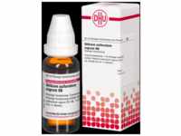 DHU-Arzneimittel GmbH & Co. KG Stibium Sulfuratum Nigrum D 6 Dilution 20 ml