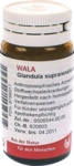 WALA Heilmittel GmbH Glandula Suprarenalis dextra cum Cupro Globuli 20 g 08786017_DBA