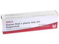 WALA Heilmittel GmbH Viscum Mali e planta tota 3% Unguentum 30 g 02198578_DBA