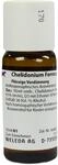 WELEDA AG Chelidonium Ferro cultum D 3 Dilution 50 ml 01614193_DBA