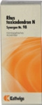 Kattwiga Arzneimittel GmbH Synergon Komplex 98 Rhus toxicodendron N Tropfen 20 ml
