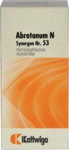 Kattwiga Arzneimittel GmbH Synergon Komplex 53 Abrotanum N Tabletten 100 St