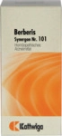 Kattwiga Arzneimittel GmbH Synergon Komplex 101 Berberis Tabletten 100 St