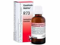 Dr.RECKEWEG & Co. GmbH Causticum-Gastreu R73 Tropfen zum Einnehmen 50 ml 04163489_DBA