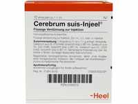 Biologische Heilmittel Heel GmbH Cerebrum Suis Injeel Ampullen 10 St 00193312_DBA