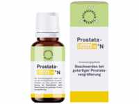 Spenglersan GmbH Prostata Entoxin N Tropfen 20 ml 03935228_DBA