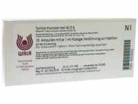 WALA Heilmittel GmbH Tunica mucosa nasi GL D 5 Ampullen 10X1 ml 03353555_DBA