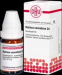DHU-Arzneimittel GmbH & Co. KG Datisca cannabina D 2 Globuli 10 g 01848399_DBA