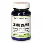 HECHT Pharma GmbH Camu Camu 500 mg GPH Kapseln 60 St 00678802_DBA