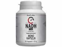 SinoPlaSan GmbH Nadh 10 mg Coenzym 1 magensaftresistent Mono-Kaps. 60 St 13598128_DBA