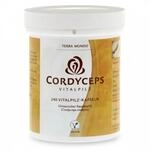 TERRA MUNDO GmbH Cordyceps Vitalpilz Terra Mundo Kapseln 240 St 01920122_DBA