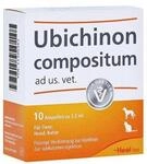 Biologische Heilmittel Heel GmbH Ubichinon compositum ad us.vet.Ampullen 10 St