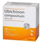 Biologische Heilmittel Heel GmbH Ubichinon compositum ad us.vet.Ampullen 100 St