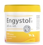 Biologische Heilmittel Heel GmbH Engystol T ad us.vet.Tabletten 500 St 17202067_DBA