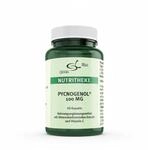 11A Nutritheke GmbH Pycnogenol 100 mg Kapseln 60 St 17178995_DBA