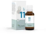 Hom&ouml;opathisches Laboratorium Alexander Pfl&uuml;ger GmbH & Co. KG Biochemie Pfl&uuml;ger 11