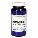 HECHT Pharma GmbH Vitamin B12 1000 &micro;g GPH Kapseln 120 St 15294711_DBA