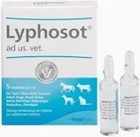 Biologische Heilmittel Heel GmbH Lyphosot ad us.vet.Ampullen 5 St 10985988_DBA