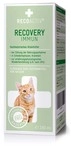RecoVet GmbH Recoactiv Recovery Immun Di&auml;tfutterm.fl&uuml;.f.Katzen 280 ml...