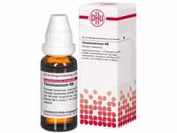 DHU-Arzneimittel GmbH & Co. KG Thiosinaminum D 6 Dilution 20 ml 17534243_DBA