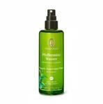 Primavera Life GmbH Pfefferminzwasser Bio Spray 100 ml 18191957_DBA