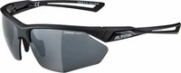 ALPINA A8635240, ALPINA Brille ALPINA NYLOS