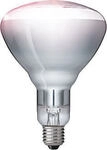 PHILIPS IR250CH BR125 230V-250V 250W E-27 Infrarot
