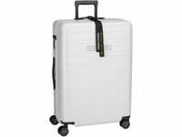 Horizn Studios H7 Essential Check-In Luggage in Light Quartz Grey (90.5 Liter),