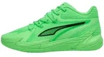 Puma Hallen-Indoorschuhe Dagger (Basketball) gr&uuml;n Herren