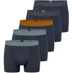 Schiesser Unterw&auml;sche Boxershorts 95/5 Organic Cotton Webgummibund mehrfarbig