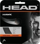Head 281103-GR-17, Head Tennissaite Hawk (Haltbarkeit+Power) grau 12m Set,