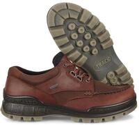 ECCO Wanderschuhe Track 25 Low GTX (Alltagschuhe, Leder, wasserdicht) braun Herren