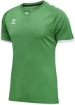 hummel Sport-Tshirt hmlCORE Volley Tee (Polyester, Jerseystoff) Kurzarm gr&uuml;n Herren