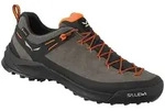Salewa Wanderschuhe Wildfire Leather GTX (Zustieg, Wildleder, wasserdicht) braun