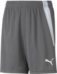 Puma Sporthose teamLIGA Shorts grau Kinder