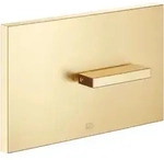 Dornbracht Abdeckplatte 12660979-28 f&uuml;r WC-UP-Sp&uuml;lkasten TeCe, messing...