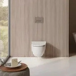 Kludi RESA D Wand-WC-Set 24WCSET43 Rimless, Spiralflush, P-f&ouml;rmiger Abfluss,...
