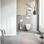 Emco Asis pure Unterputz-WC-B&uuml;rstengarnitur 975551300 170x730mm, T&uuml;ranschlag...
