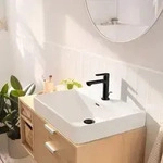 hansgrohe Rebris S 110 Waschtischarmatur 72519670 EcoSmart, CoolStart,...