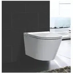 AqvaZone Aqva ceramica Dusch-WC Komplettanlage wei&szlig;, sp&uuml;lrandlos