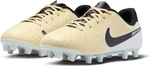 NIKE Jr. Tiempo Legend 10 Academy FG/MG Fu&szlig;ballschuhe Jungen 700 -