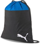 PUMA teamGOAL 23 Turnbeutel electric blue lemonade/puma black