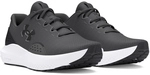 UNDER ARMOUR Surge 4 Laufschuhe Herren 106 - castlerock/anthracite/anthracite 43