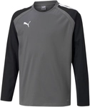 PUMA teamLIGA Training Sweatshirt Kinder smoked pearl/puma white 116