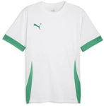 PUMA teamGOAL Matchday Trikot Herren 15 - PUMA white/sport green/sport green S
